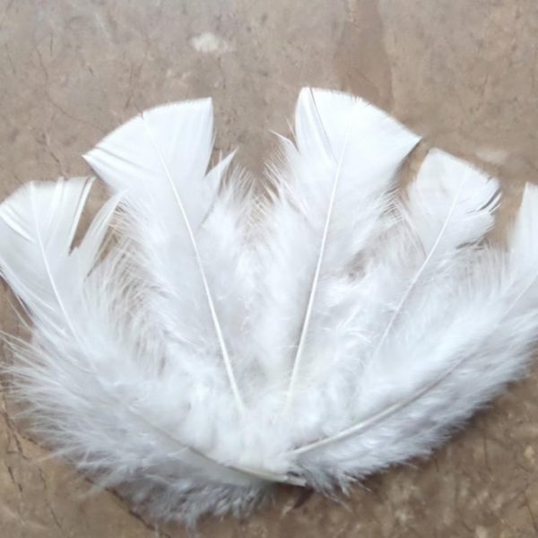 Pióra lotki puchowe naturalne piórka długie białe