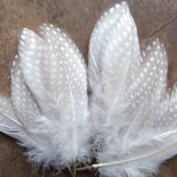 PIÓRA naturalne długie perliczki lotki Mini białe
